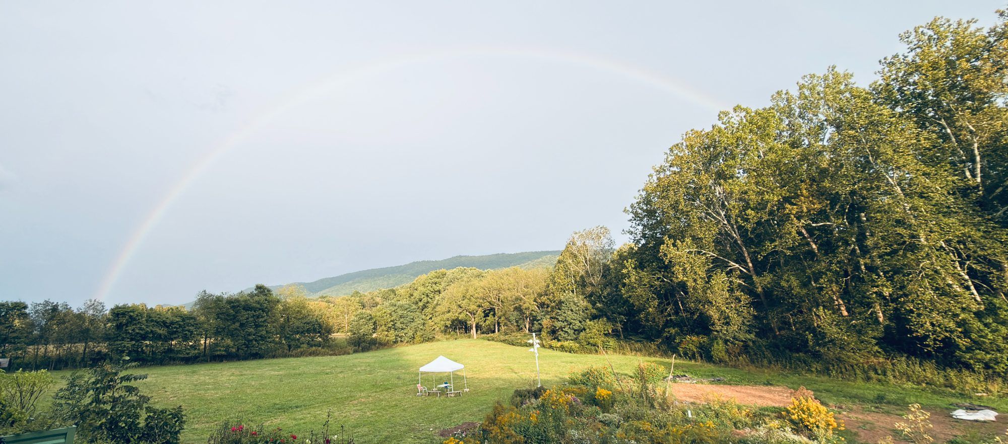 A faint rainbow arcing over a mown green field with a small white canopy tent, late-summer wildflowers in the foreground, and tall trees and a wooded ridge behind.