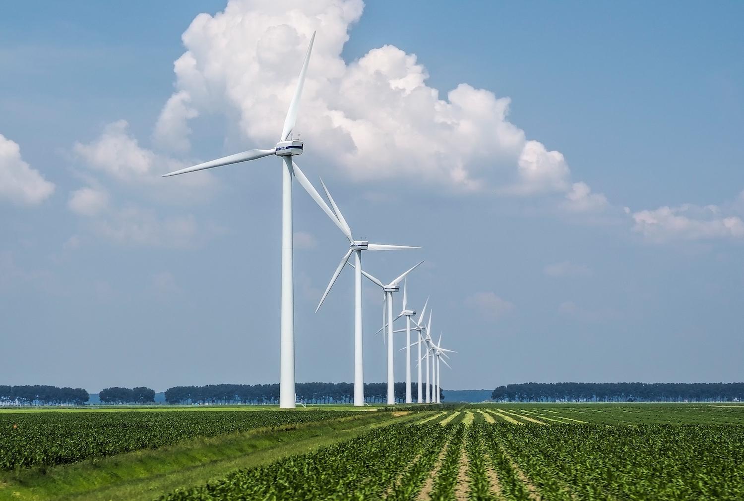 Del. Ward introduces bill requiring 2-mile residential setback for wind turbines – Moorefield Examiner